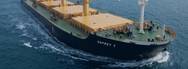 Photo: Eagle Bulk Shipping Inc.