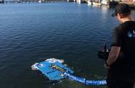 Photo: ECOsubsea