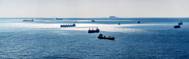 Photo: International Maritime Organization (IMO)
