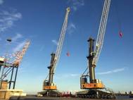 Photo: Liebherr