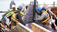 (Photo: The Northwest Seaport Alliance)