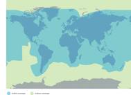 Aura VSAT (Photo: Satcom Global)