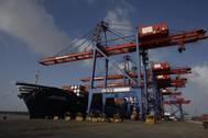 (Photo: APM Terminals)