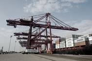 Photo: APM Terminls Mumbai