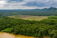 © Richard Whitcombe / Adobe Stock