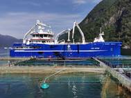 Crew sometimes step off a vessel to work on a fish farm’s structure (Photo courtesy DESS Aqua)