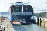 The CMA CGM Theodore Roosevelt transiting the Cocoli locks (Photo: ACP)