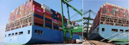 “MOL Trust” and “MOL Tradition” (Photo: ONE)