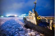 © tsuguliev/ Adobe Stock