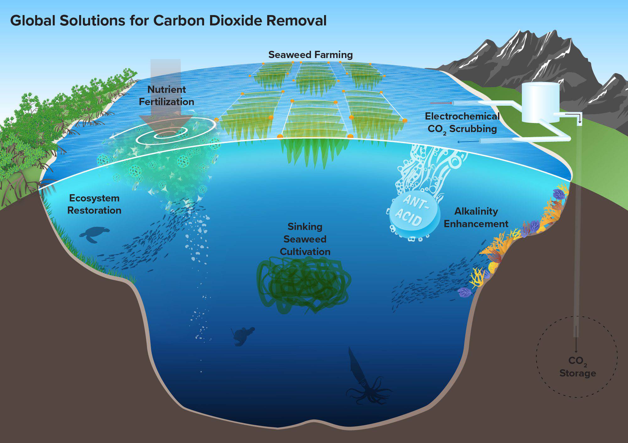 Carbon Dioxide Removal (CDR)  To Clear the Air, Look Beneath