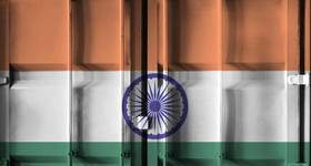 © Adobe Stock/Sunshine Seeds
