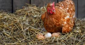 Copyright alter_photo/AdobeStock