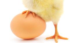 Copyright Anatolii/AdobeStock