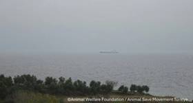 Source: Animal Welfare Foundation