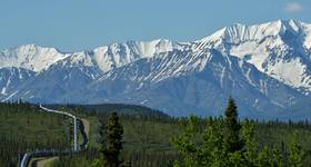 © JT Fisherman / Adobe Stock