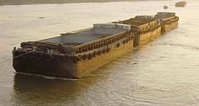 © Adobe Stock/Adrian Hillman