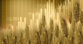 Copyright freshidea/AdobeStock