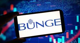 © piter2121 - stock.adobe.com