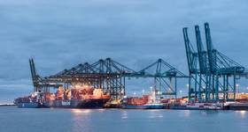 © tonyv3112 / Adobe Stock