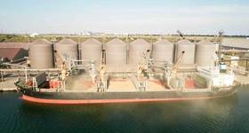 © Adobe Stock/Elena