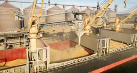 © Adobe Stock/Elena