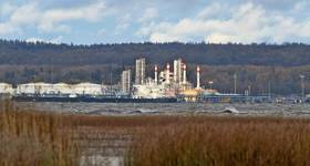 © Adobe Stock/max5128