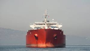 © Jose Gil / Adobe Stock