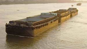 © Adobe Stock/Adrian Hillman