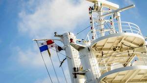 © Adobe Stock/BlackMac