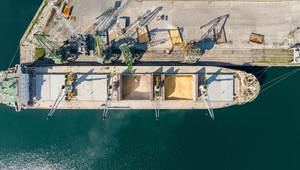 © Adobe Stock/dechevm