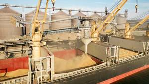 © Adobe Stock/Elena