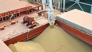 © Adobe Stock/masterskuz55