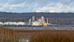 © Adobe Stock/max5128