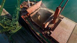 © Adobe Stock/sandsun