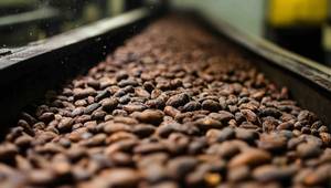 © Adobe Stock/vasyan_23