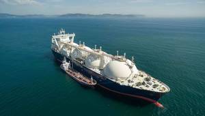 © Adobe Stock/vladsv