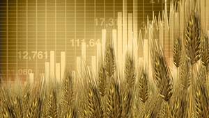 Copyright freshidea/AdobeStock