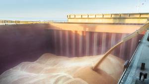 Copyright Igor Strukov/AdobeStock