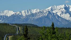 © JT Fisherman / Adobe Stock