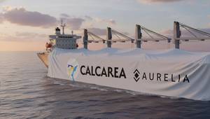 Image courtesy CALCAREA Inc. and AURELIA Design B.V.