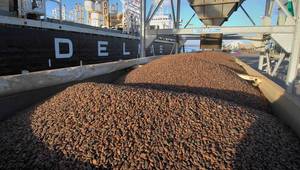 © S. Leitenberger - stock.adobe.com