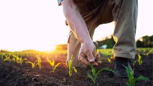 © littlewolf1989 / Adobe Stock