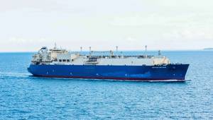 © Mariusz - stock.adobe.com