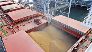 © masterskuz55 / Adobe Stock