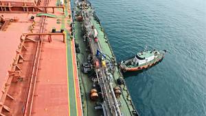 © masterskuz55 / Adobe Stock