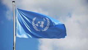 © nmann77 / Adobe Stock