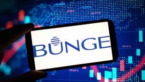 © piter2121 - stock.adobe.com