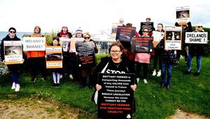 Source: Ethical Farming Ireland