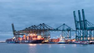 © tonyv3112 / Adobe Stock