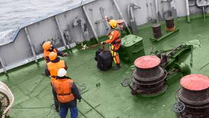 © Uladzimir / Adobe Stock